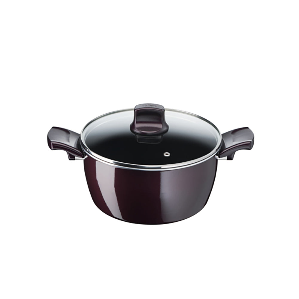 Tefal Resist Intense Stewpot 30Cm طنجرة رسيست انتنس بطبقه تيتانيوم Tefal Resist Intense Stewpot 30Cm طنجرة رسيست انتنس بطبقه تيتانيوم