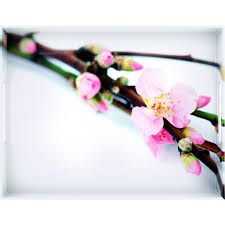 Tray Cherry Blossom 50x37Cm صينية ضيافة