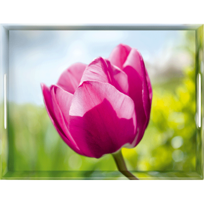 Tray Pink Tulip 50X37Cm صينية ضيافة