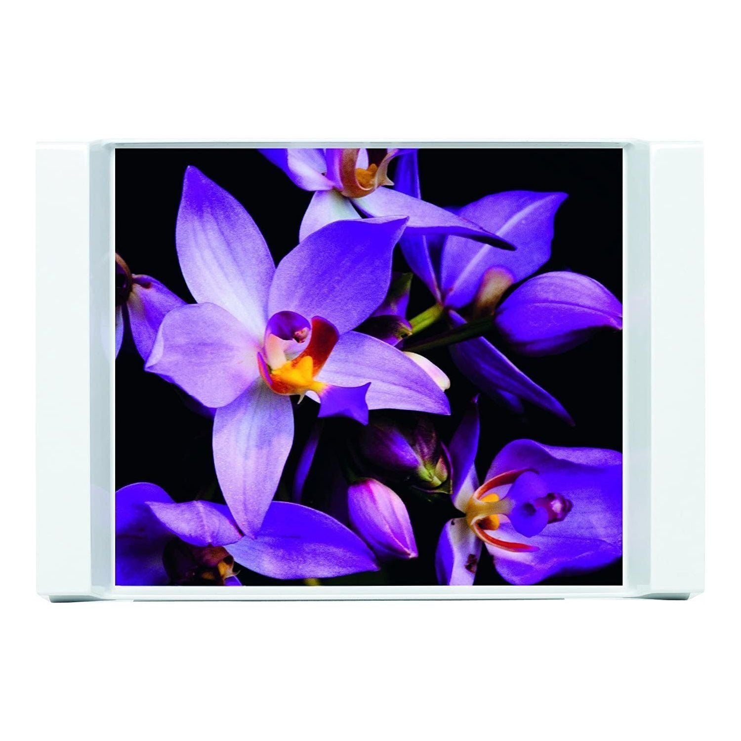 Tray Orchid 44 X 32Cm صينية ضيافة